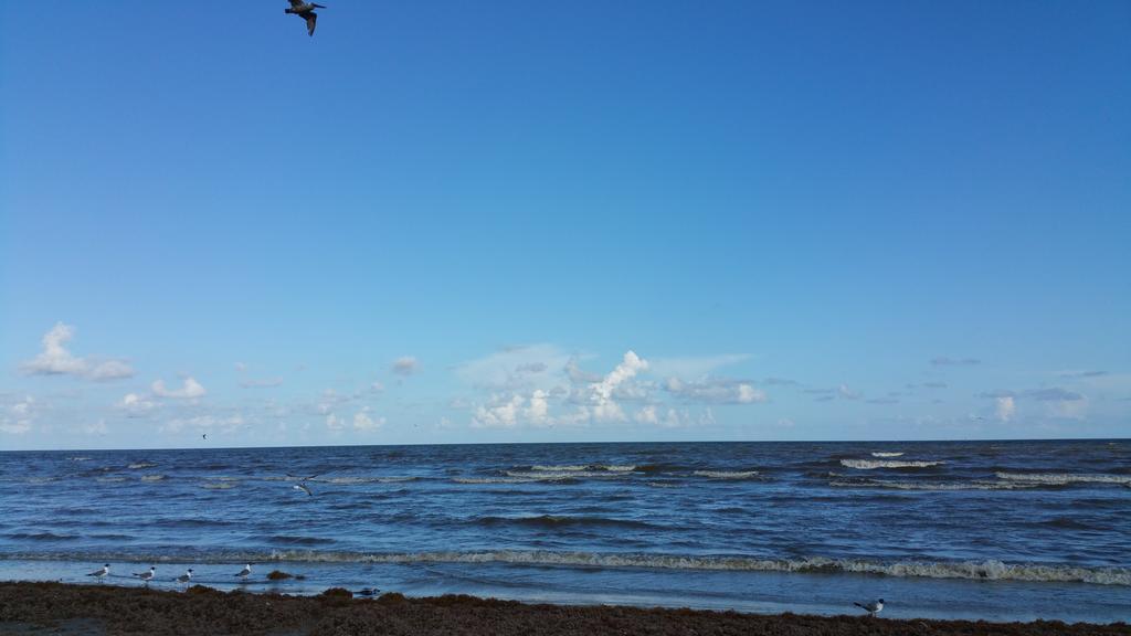 Private Beach -- Away From The Crowds - Ocean Views -Short Drive To Moody Gardens, Schlitter Bahn, Pleasure Pier Galveston Bagian luar foto