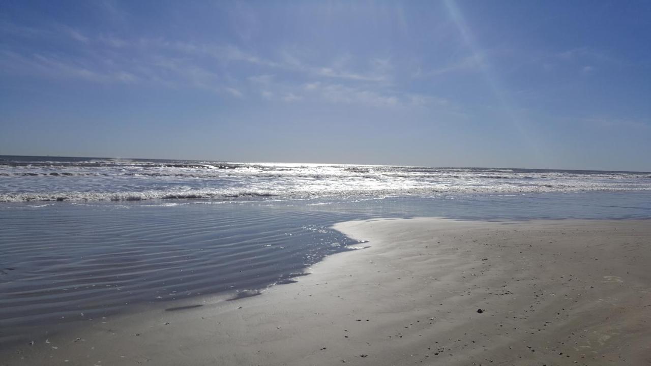 Private Beach -- Away From The Crowds - Ocean Views -Short Drive To Moody Gardens, Schlitter Bahn, Pleasure Pier Galveston Bagian luar foto